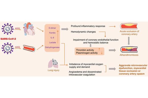 Exploring the Promise of Phytomedicine in Addressing Long COVID and Acute Coronary Syndromes
