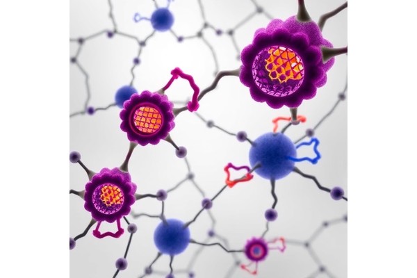 BH3 Mimetics Target BCL-XL in RB1-Loss Tumors