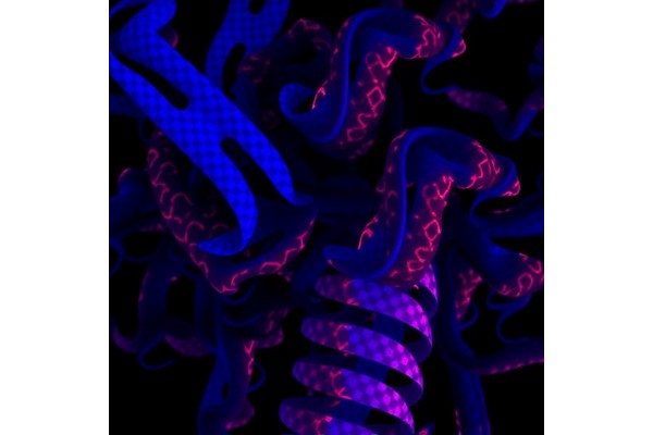 A485 Targets EP300 in Lymphoma, Boosted by XPO1 Inhibition