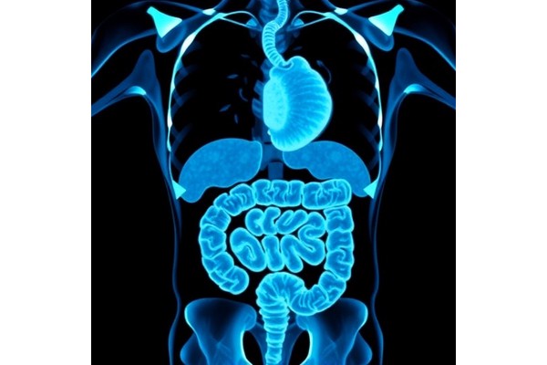 New Machine Learning Tool Enhances Diagnosis and Monitoring of Colorectal Cancer