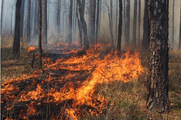 Impending Threat of Wildfire and Smoke in the Southern U.S.: A Scientific Perspective