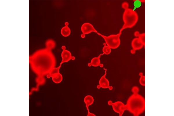 Dual Detection of Aneuploid Cells in Cervical Samples