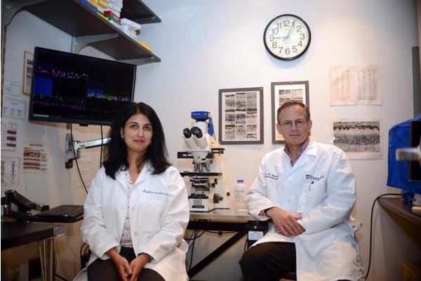 Innovative Therapies Target Advanced-Stage Retinal Degenerations
