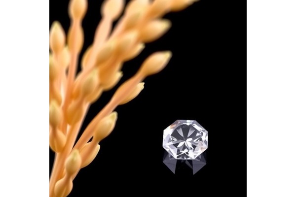 Rice Method Enhances Ultrapure Diamond Film Fabrication for Advanced Quantum and Electronic Technologies