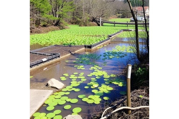 Investigating and Remediating Nitrate Pollution in Shimabara