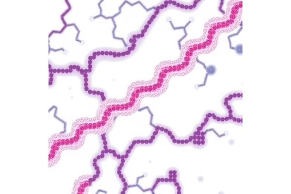 Wilms Tumors: The Role of Genes and Imprinting in Driving Cancer Development