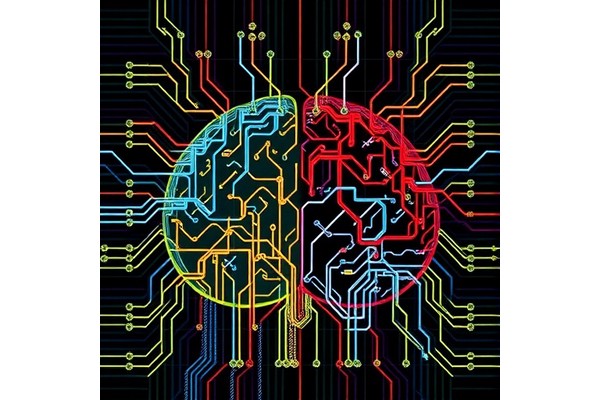 Decoding Cortical Circuits Through Multimodal Integration