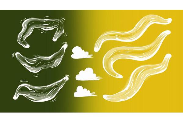 The Smell of Death: How Exposure to Dead Worms Affects Fertility and Lifespan