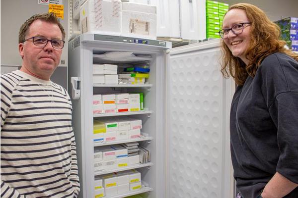 New Research Reveals Bed Bugs as Humanity’s Earliest Pests