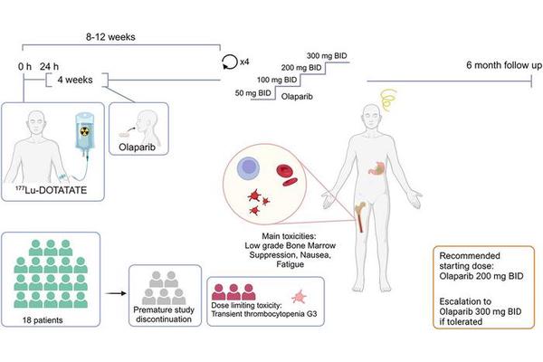 Promising New Combination Therapy Demonstrated as Safe and Feasible for Neuroendocrine Tumor Patients