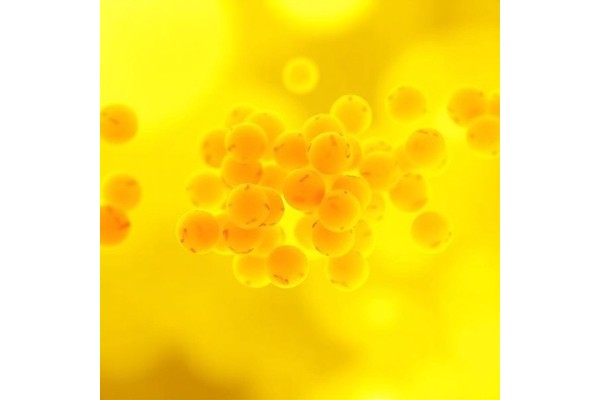 Accelerated Modeling of Toxic Particles May Enhance Air Quality Management Efforts