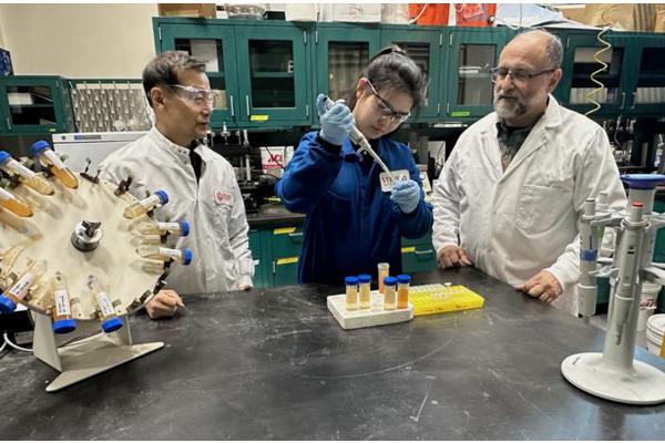 Researchers at Stevens Unveil Innovative Method to Eliminate Forever Chemicals from Water Using Iron