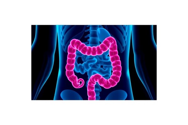 Phase I Trial of OMT-110 in Metastatic Colorectal Cancer