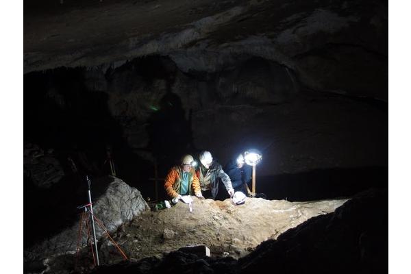 Ancient Whale Bone Tools Uncovered: A Groundbreaking Discovery in Archaeology