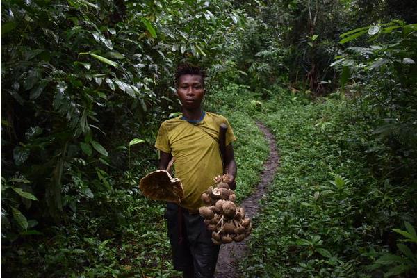 Fostering Human-Nature Reciprocity: A Vital Strategy for Protecting Planetary Health