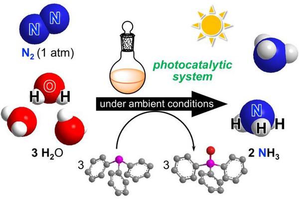 Sunlight Drives Green Ammonia Revolution