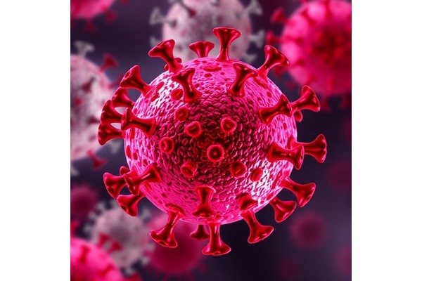 Kaposi’s Virus Triggers Mitochondrial Fission to Evade Immunity