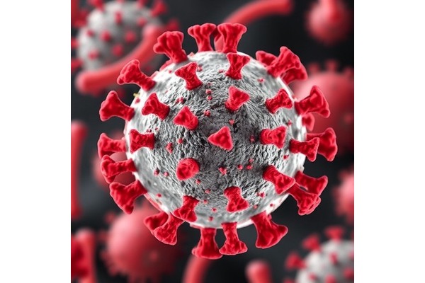 Unique Viral and Host Translation Methods Revealed