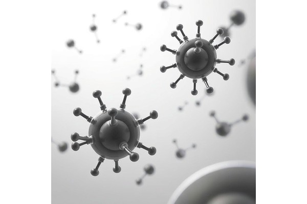 West African-South American Cholera Bacteria Defend Against Phages