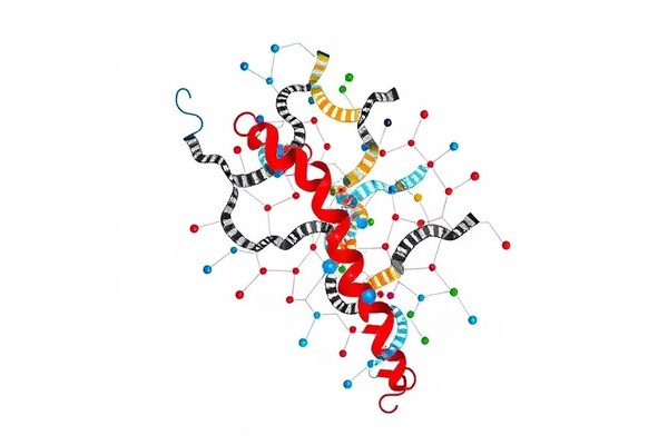 Large Korean Study Reveals Genetics of 36 Traits