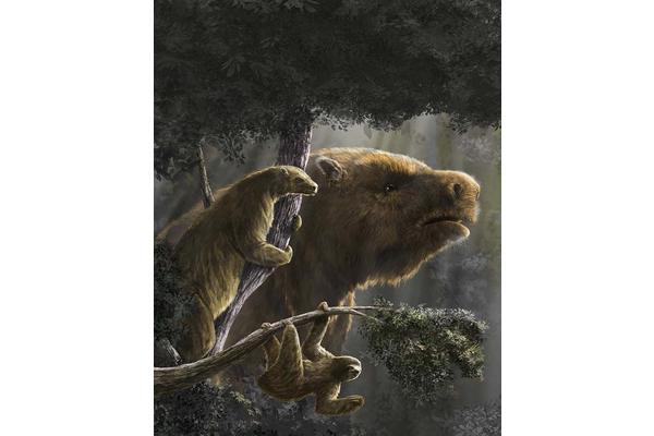 How Scientists Unraveled the Mystery Behind the Gigantic Size of Extinct Ground Sloths—and What Led to Their Demise