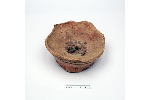 Iron Age Arabia Reveals Earliest Use of Psychoactive and Medicinal Plant ‘Harmal’