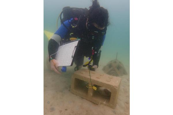 Tracking Coral Larval Settlements: Insights from #ASA188
