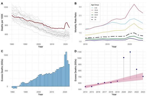 US Excess Deaths Persistently Increase Beyond the COVID-19 Pandemic