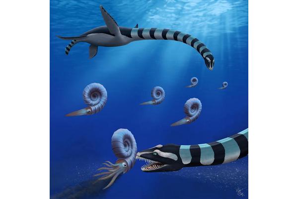 “Long-Standing Mystery of ‘Very Odd’ Elasmosaur Unveiled: Iconic North American Fossil Classified as New Species”