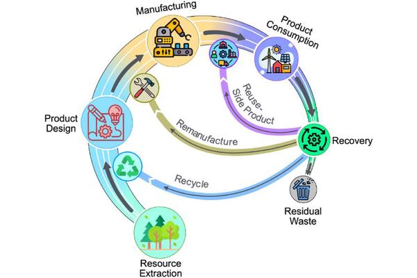 Empowering Sustainable Consumption: Circular Economy Strategies for Advancing the SDGs