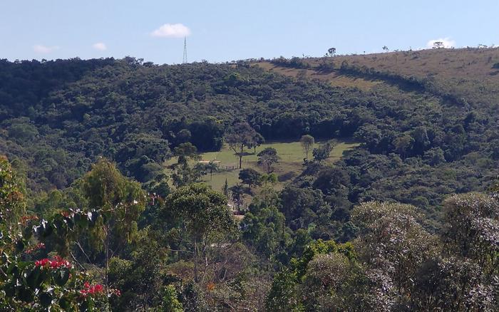Tool identifies ecologically equivalent areas to guide restoration projects