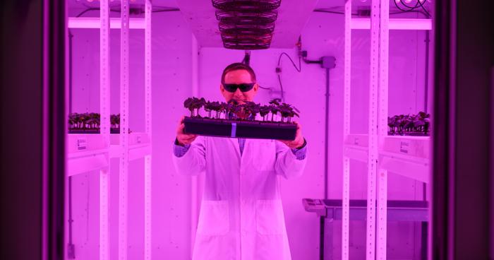 Bogumil Karas, Schulich Medicine & Dentistry professor and research and development creator.