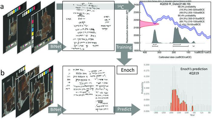 Dating ancient manuscripts using radiocarbon and AI-based writing style analysis