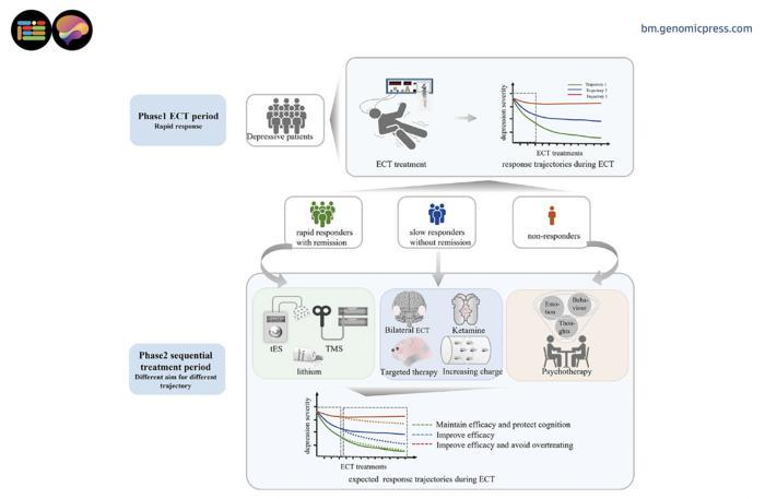 ECT response–guided sequential strategy.