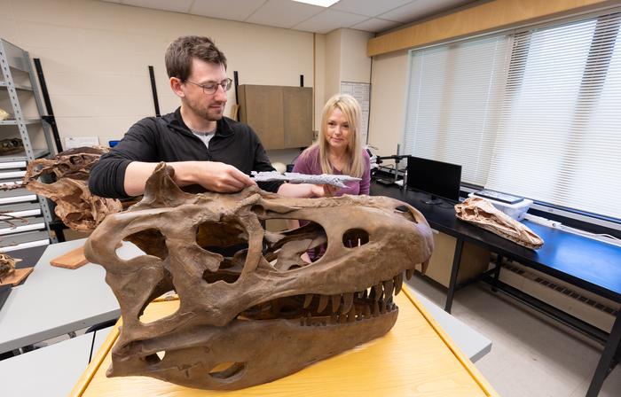 University of Calgary paleontologists identify closest-known ancestor to Tyrannosaurs