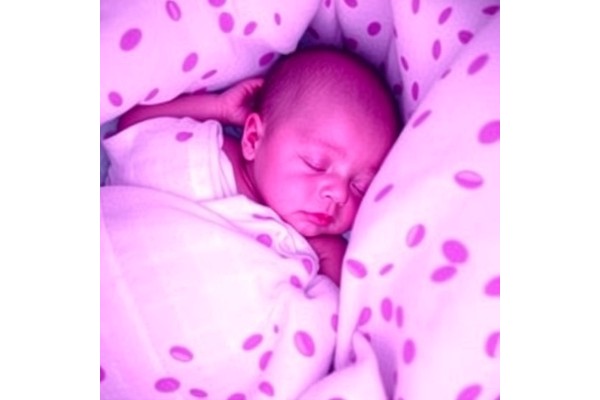 Neonatal Leukocyte Data: Detecting Sepsis, NEC