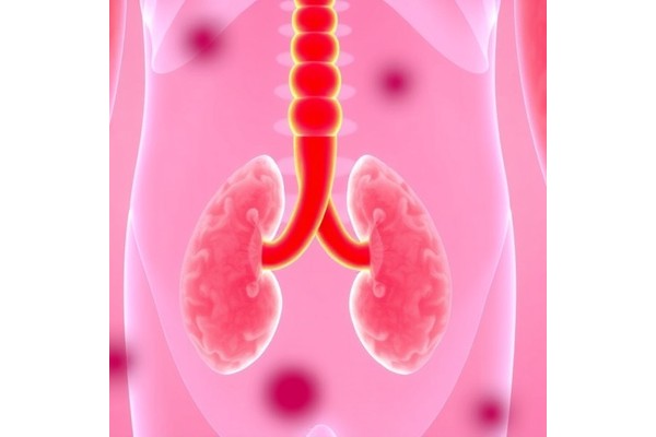 Breakthroughs in Science Unlock Treatments for the Most Challenging Bladder Cancers