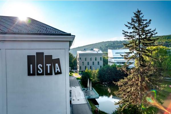 ISTA Secures 10 Million Euros with Four ERC Advanced Grants