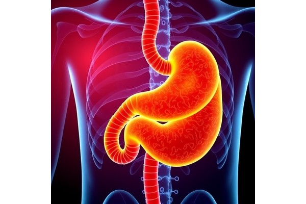 Anlotinib and Toripalimab Show Promise for Advanced Gastric Cancer