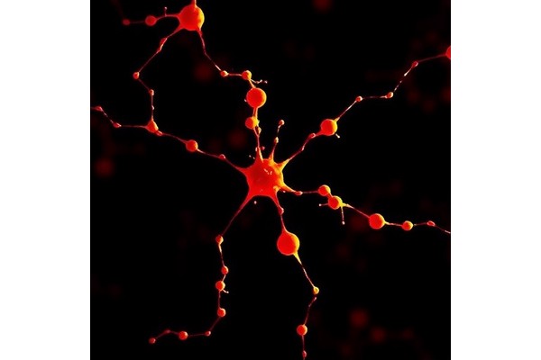 Ultra-Sensitive Small Molecule Detection via Spatially Blocked CRISPR