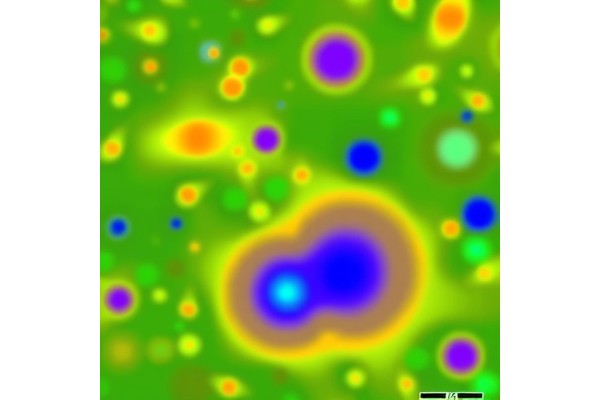 Mapping Human and Mouse Fat Tissue at Single-Cell Level
