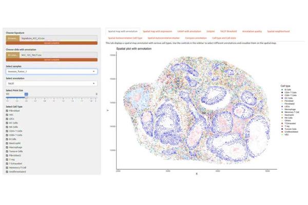 Revolutionary TACIT Algorithm Heralds New Era in Cancer Diagnosis and Treatment