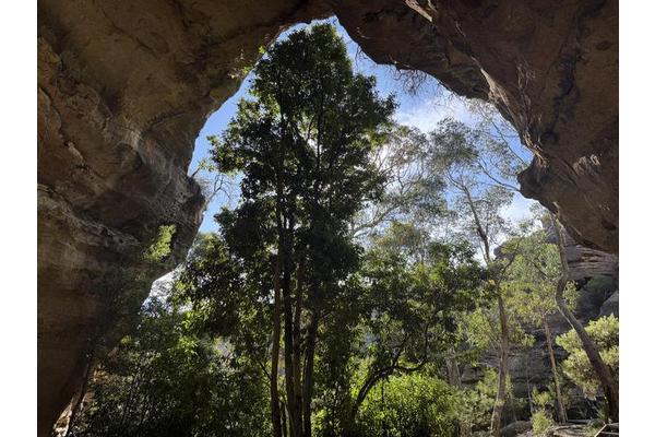 Ancient Ice Age Cave Discovered at High Elevation in Australia’s Blue Mountains