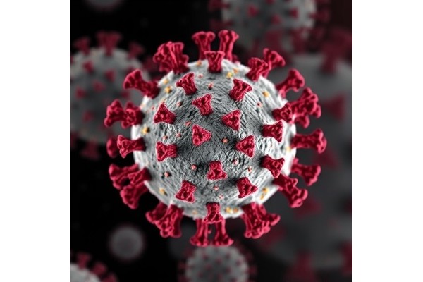 Characterizing 2016-2019 A(H1N1)pdm09 Influenza Viruses