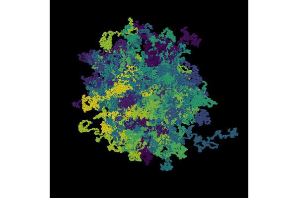 Wriggling Together: Exploring Movement Within Entangled Worm Clusters