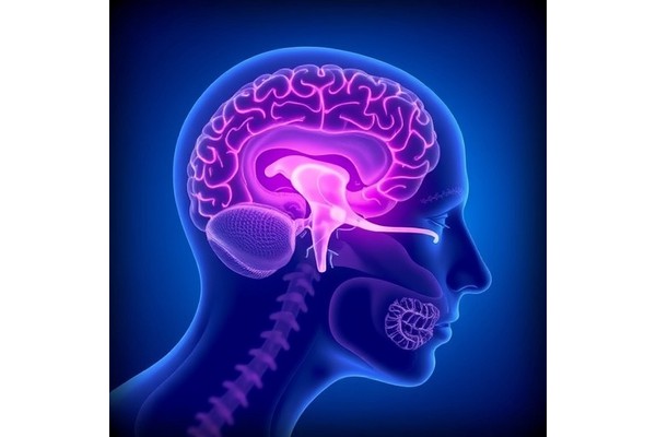 Glymphatic Dysfunction Linked to Sleep Apnea in Parkinson’s