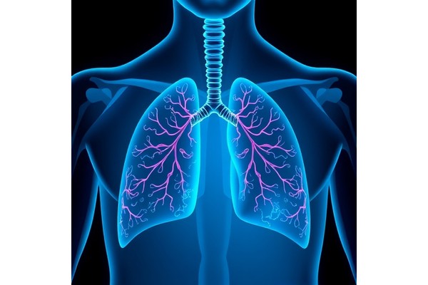 S2302 Pragmatica-Lung Emerges as a Model for Faster, Leaner, and More Representative Clinical Trials