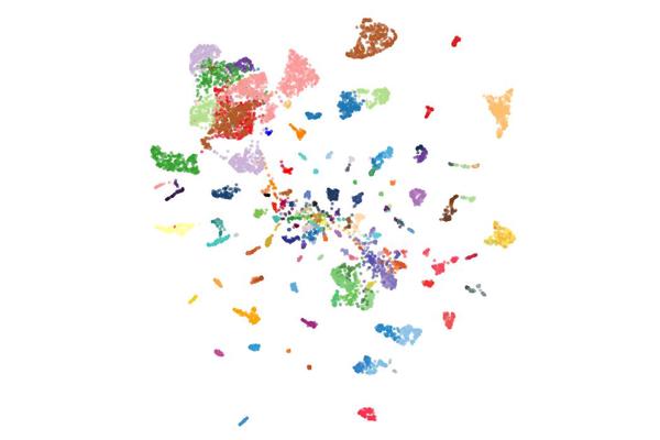 AI Model Identifies Over 170 Cancer Types, Revolutionizing Tumor Diagnostics