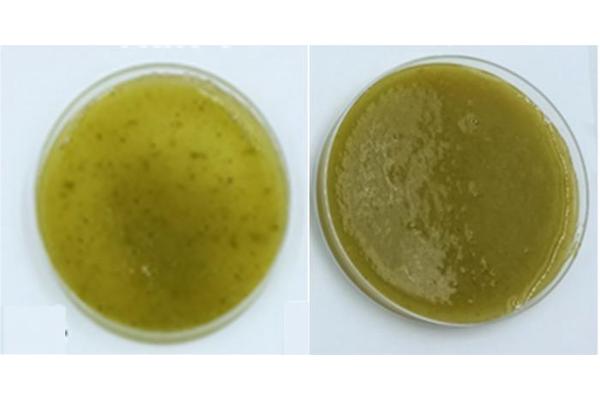 Pasteurizing Fruit Smoothies May Enhance Digestion of Beneficial Polyphenols