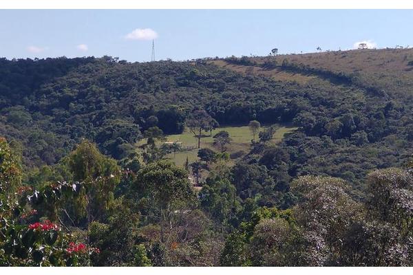 New Tool Pinpoints Ecologically Equivalent Areas to Enhance Restoration Projects